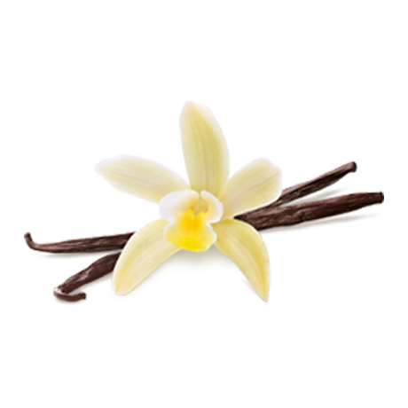 Vanilla 
